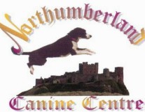 Agility - Northumberland Canine Centre